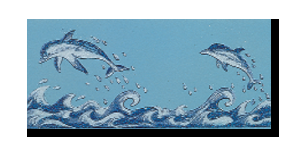 flipper_1.png